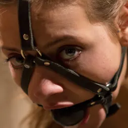 Felony in 'Kink' Lezdom Gangbang: 19 Years Old and Kinky As Hell! (Thumbnail 14)