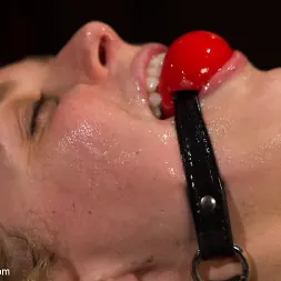 Felony en 'Kink' Penny Pax ha sido acusada de delito grave (Miniatura 6)