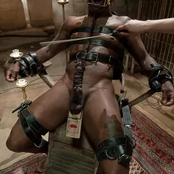 Flower Tucci に 'Kink' プレビアンのテスト (サムネイル 12)