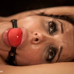 Francesca Le en 'Kink' Realeza de la estrella del porno: Francesca Le (Miniatura 14)