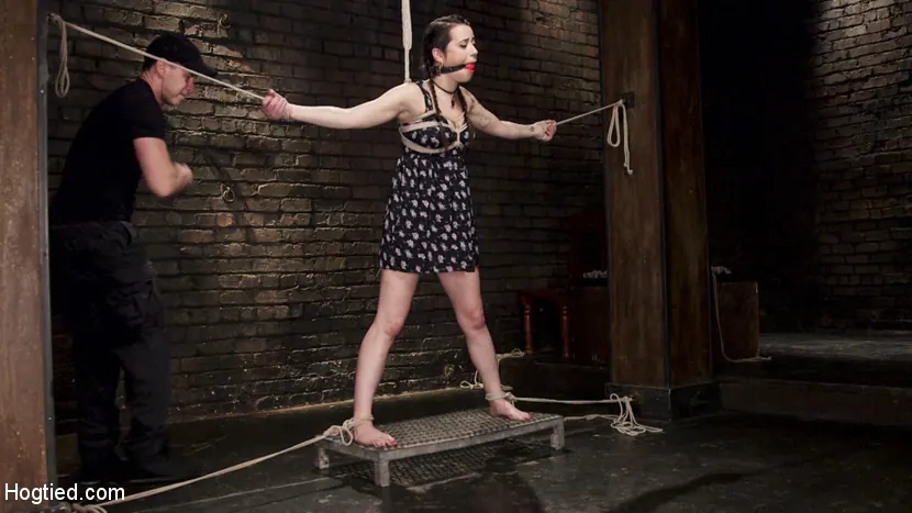 Freya French に 'オルガスムプレディジョンの熱いブルネット' from 'Kink' (写真 11) Kink 'オルガスムプレディジョンの熱いブルネット' 主演 Freya French (写真 11)