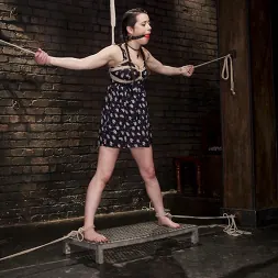 Freya French に 'Kink' オルガスムプレディジョンの熱いブルネット (サムネイル 11)