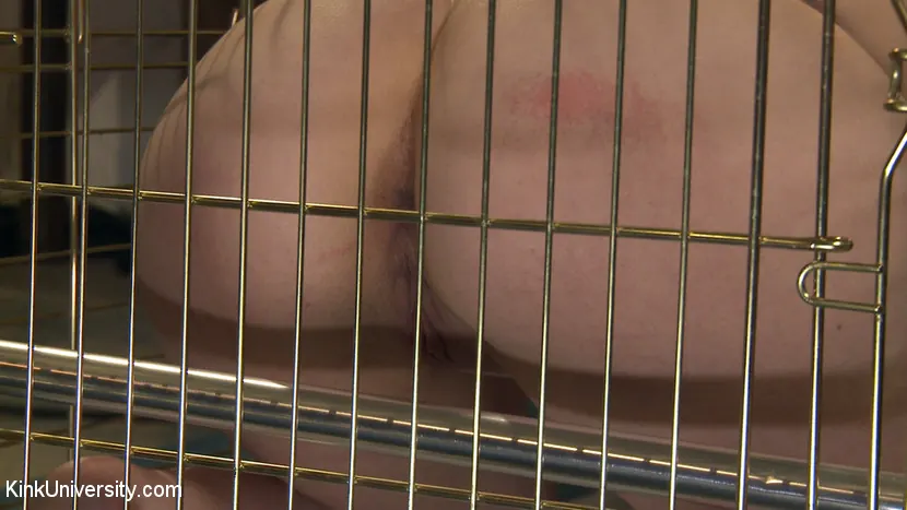 Kink 'Violet Wand Electrical Play' starring Freya French (Photo 19)