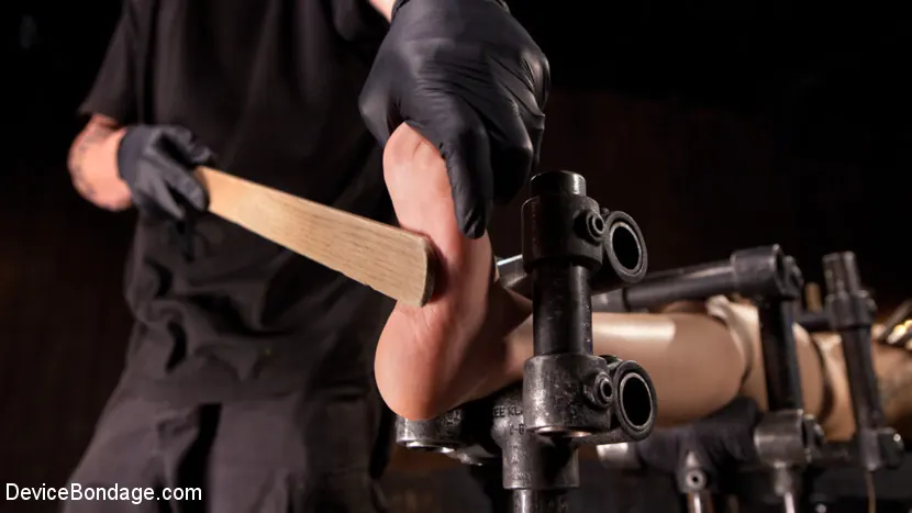 Kink 'Intolerable Brat.' starring Gabriella Paltrova (Photo 7)