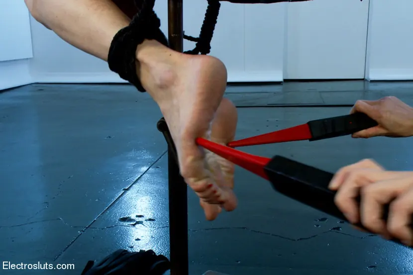 Kink 'Audrey Hollander, reina del anal y electroslut extraordinaria en su desafío explosivo final' protagonizando Gia DiMarco (foto 5)