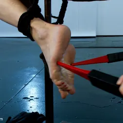 Gia DiMarco en 'Kink' Audrey Hollander, reina del anal y electroslut extraordinaria en su desafío explosivo final (Miniatura 5)