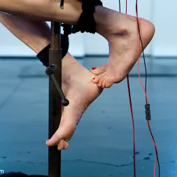 Gia DiMarco en 'Kink' Audrey Hollander, reina del anal y electroslut extraordinaria en su desafío explosivo final (Miniatura 15)