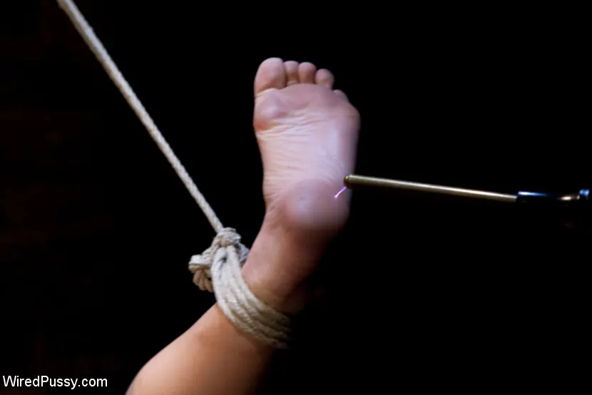 Kink 'La puta del dolor de Gia' protagonizando Gia DiMarco (foto 4)