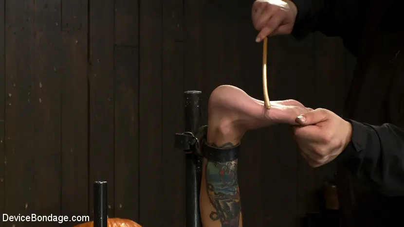 Kink 'Milf obligada a eyacular una y otra vez. Follada, azotada, tortura de pezones, tortura de pies y corrida en la cara, día divertido' protagonizando Gia DiMarco (foto 3)