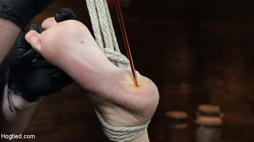 Kink 'is Back! Grueling Bondage And Mind-Blowing Orgasms' protagonizando Gia DiMarco (foto 26)