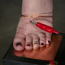 ジアパロマ に 'Kink' ジアパロマ (サムネイル 13)