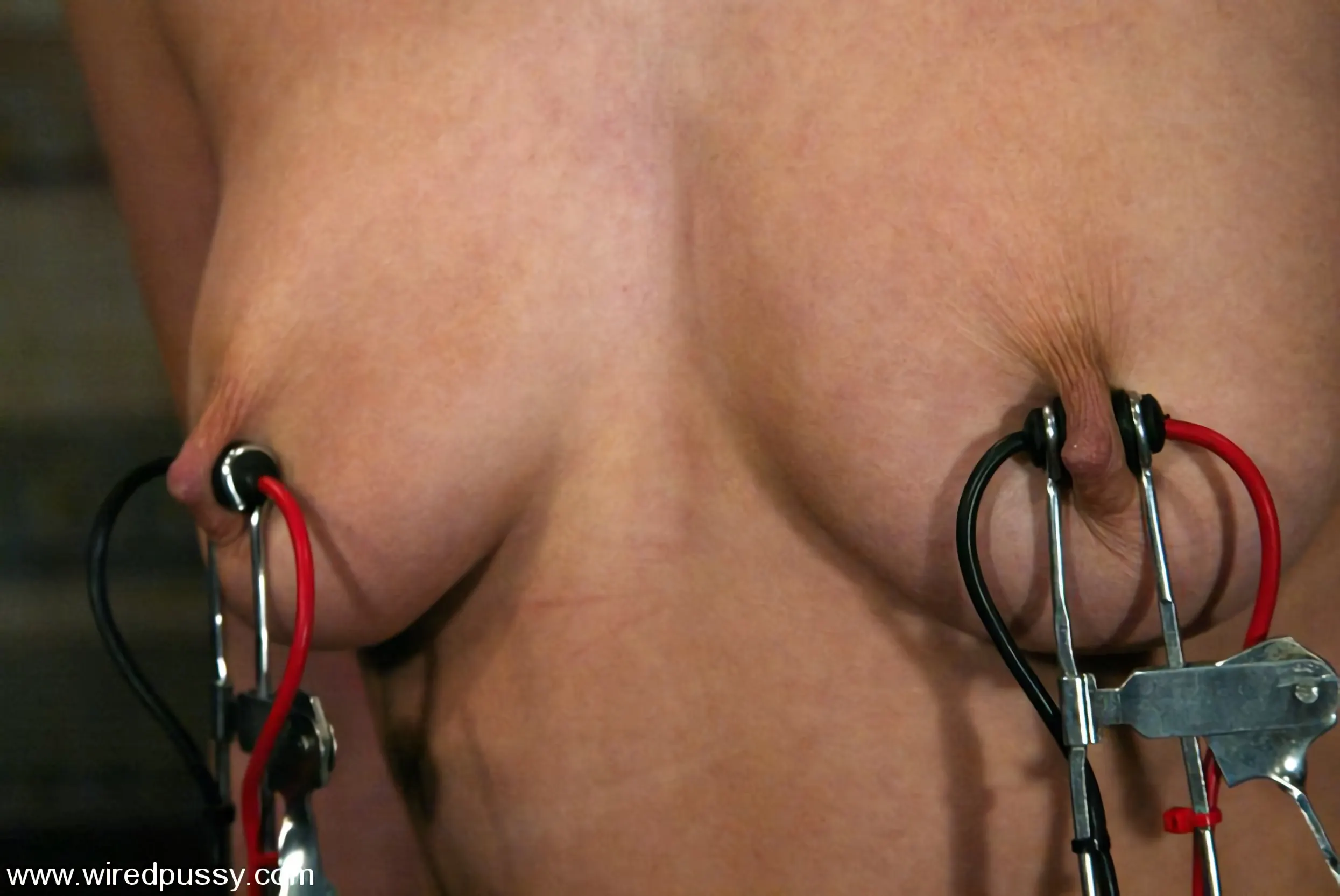 Kink 'ジアパロマ' 主演 ジアパロマ (写真 5)