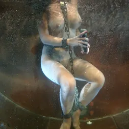 Gianna Lynn in Getting Gianna Lynn WET! (Photo 6) Gianna Lynn in 'Kink' Getting Gianna Lynn WET! (Thumbnail 6)