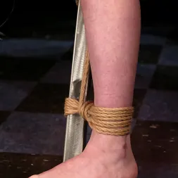 Jengibre en Jengibre (foto 8) Jengibre en 'Kink' Jengibre (Miniatura 8)