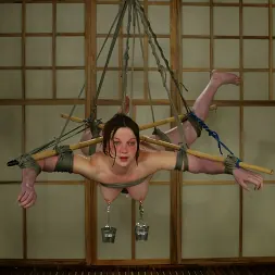 Jengibre en 'Kink' Jengibre (Miniatura 8)