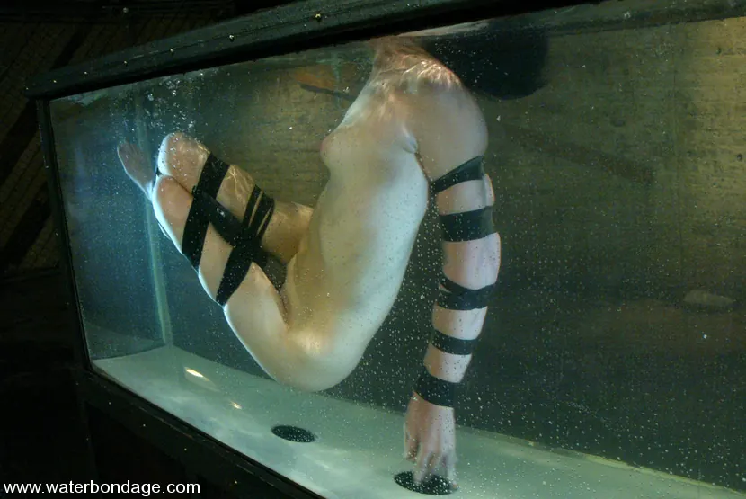 Kink 'グレッチェン・エルフグレン' 主演 グレッチェン・エルフグレン (写真 6)