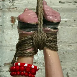 グレッチェン・エルフグレン に 'Kink' グレッチェン・エルフグレン (サムネイル 12)