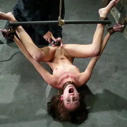 ヘイリー・ヤング に 'Kink' ヘイリー・ヤング (サムネイル 5)