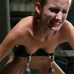 Hailey Young in 'Kink' Hailey Young (Thumbnail 7)