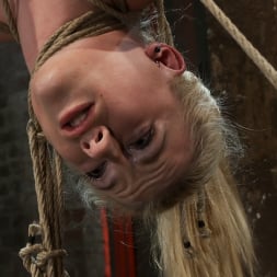 Haley Cummings in 'Kink' 19yr old blond with huge F size breasts is made to cum over and over. Suffers horrific bondage! (Thumbnail 3)