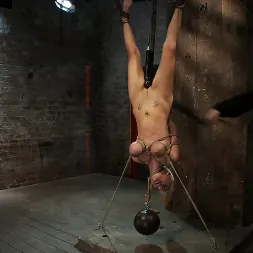 Haley Cummings en 'Kink' A una rubia de 19 años con enormes pechos tamaño F la obligan a correrse una y otra vez. ¡Sufre una esclavitud horrible! (Miniatura 5)