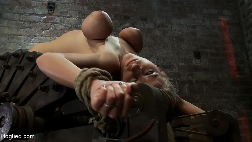 Haley Cummings in '19yr orgasmed past the breaking point. Can someone be orgasmed to insanity. We almost found out!' from 'Kink' (Photo 2) Kink '19yr orgasmed past the breaking point. Can someone be orgasmed to insanity. We almost found out!' starring Haley Cummings (Photo 2)