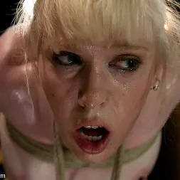 Halie James en 'Kink' El veterano y el novato (Miniatura 21)