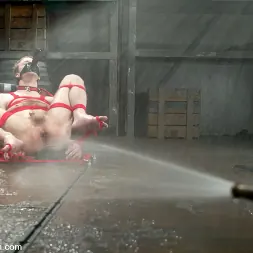 Harmony en 'Kink' Elliot Skellington y la armonía (Miniatura 14)