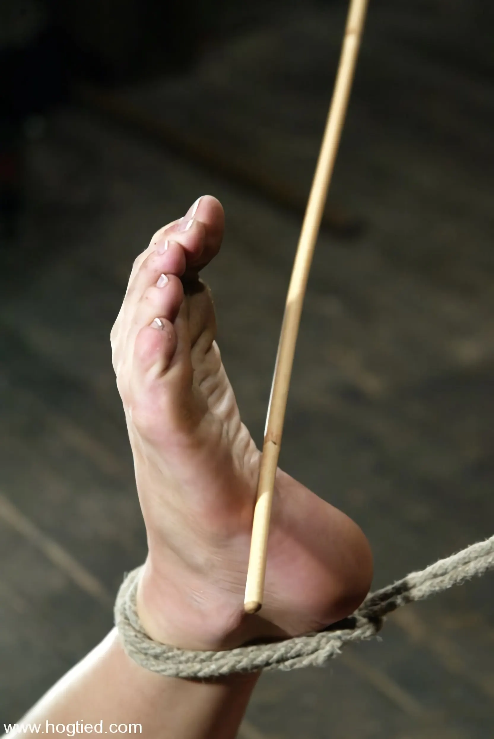 Kink 'Armonía' protagonizando Armonía (foto 8)