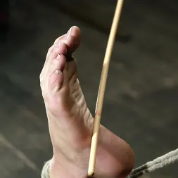 Armonía en Armonía (foto 8) Armonía en 'Kink' Armonía (Miniatura 8)