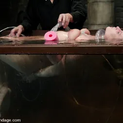 Armonía en 'Kink' Armonía (Miniatura 12)