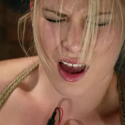 Armonía en 'Kink' Armonía (Miniatura 7)