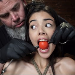Harmony Wonder in 'Kink' Harmony Wonder: 19 Year Old Tormented and Cums in Grueling Bondage (Thumbnail 2)