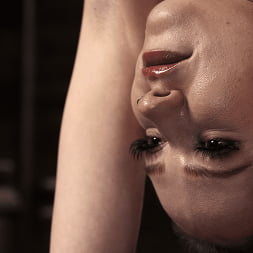 Hazel Paige に 'Kink' レザーとスチール:ヘーゼルペイジ (サムネイル 1)