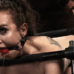 Hazel Paige に 'Kink' レザーとスチール:ヘーゼルペイジ (サムネイル 18)