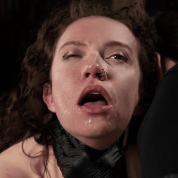 Hazel Paige に 'Kink' 私をあなたの性交玩具にしてください (サムネイル 21)