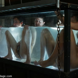 Hollie Stevens en 'Kink' Sesión de fotos de 5 chicas: Parte 3 (Miniatura 12)