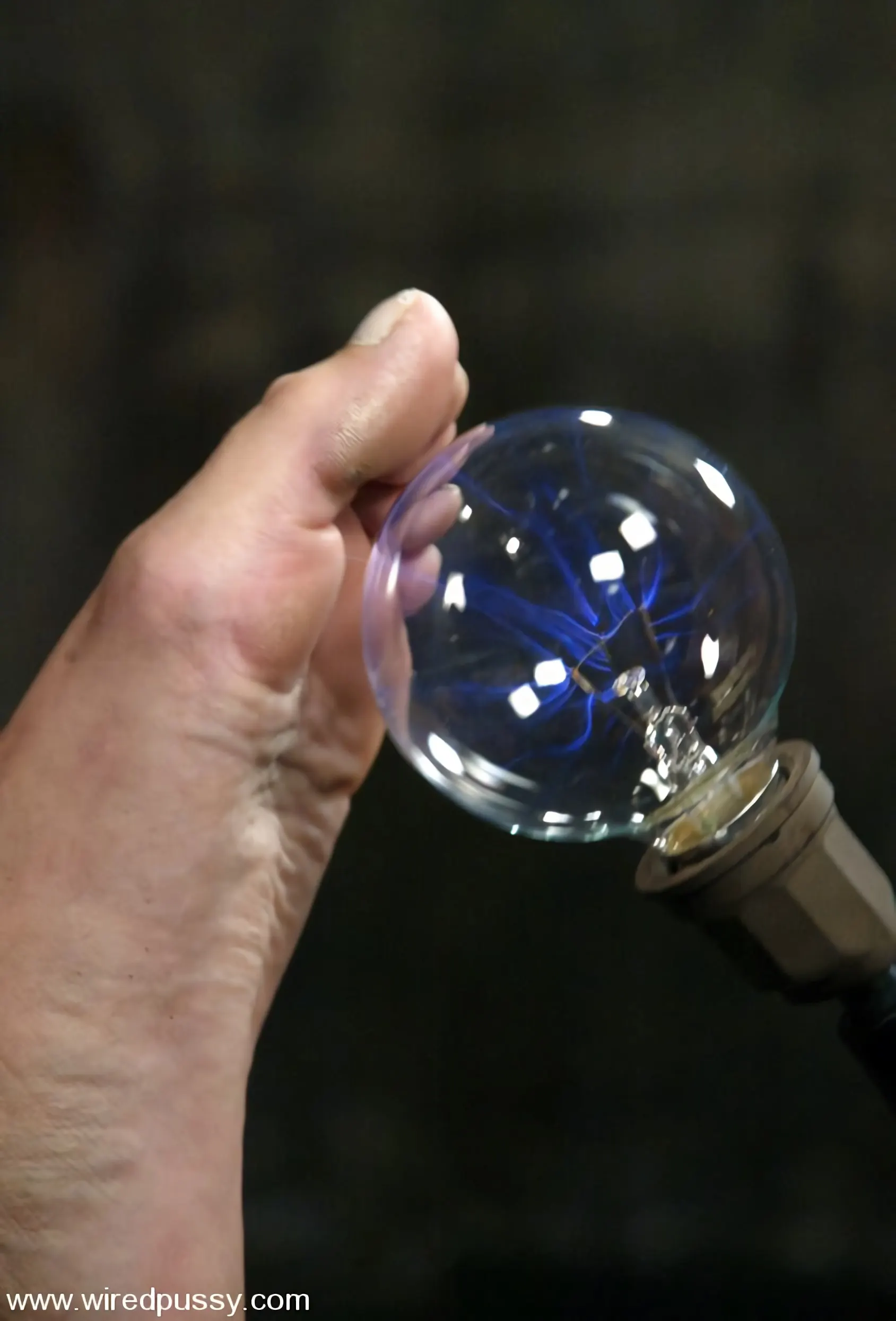 Kink 'and Isis Love' 主演 Hollie Stevens (写真 6)