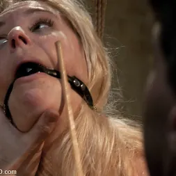 Hollie Stevens en 'Kink' El entrenamiento de Holly Stevens, día tres (Miniatura 2)