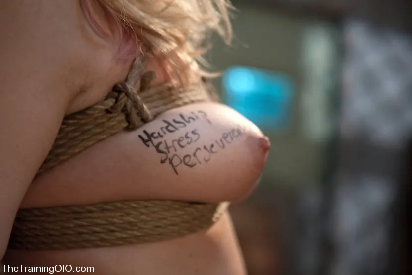 Kink 'El entrenamiento de Holly Stevens, día tres' protagonizando Hollie Stevens (foto 3)