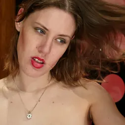 Holly に 'Kink' バージニア州とヒイラギ (サムネイル 1)