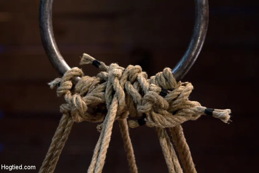 Kink 'Local fitness model suffers the most horrific, painful bondage suspension there is. CATEGORY 5' starring Holly Heart (Photo 4)