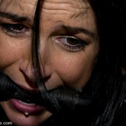 India Summer in 'Kink' KINK Classic 3 of 20. Countdown to relaunch! (Thumbnail 5)
