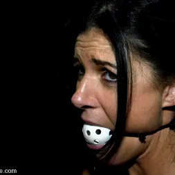 India Summer in 'Kink' KINK Classic 3 of 20. Countdown to relaunch! (Thumbnail 7)