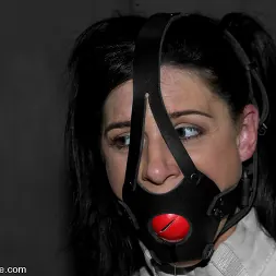 India Summer in 'Kink' KINK Classic 3 of 20. Countdown to relaunch! (Thumbnail 9)