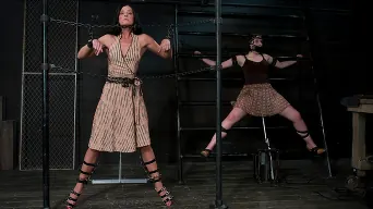 India Summer in 'Two in a cage is worth more than one with a shaved bush. -Countdown to Relaunch - 6 of 20'