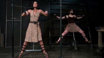 India Summer in 'Two in a cage is worth more than one with a shaved bush. -Countdown to Relaunch - 6 of 20'
