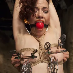 Ingrid Mouth に 二重貫通の予測 (写真 11) Ingrid Mouth に 'Kink' 二重貫通の予測 (サムネイル 11)