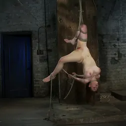 Iona Grace in 'Kink' 19 yr Old with Huge Tits Suffers in a Catigory5 Suspension, Cums while Upside Down and Helpless (Thumbnail 6)