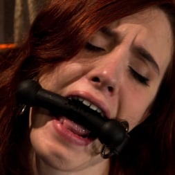 Iona Grace in 'Kink' 19 yr old with massive F natural breasts walks the crotch line from hell Made to cum and cum HARD (Thumbnail 6)